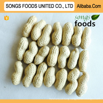 Packing In 30 PP Bags Songs Foods Cheap Price Peanuts